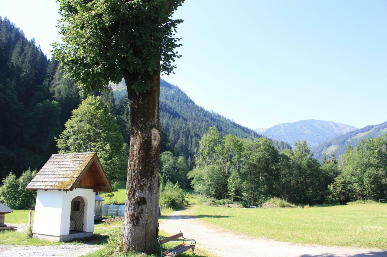 Chalet Ferienhaus Radmer Radmer an der Hasel Exteriör bild